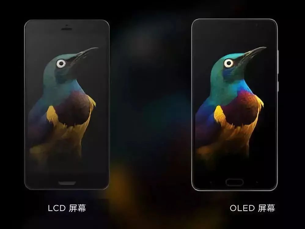 Difference Between OLED Screen and LCD Screen